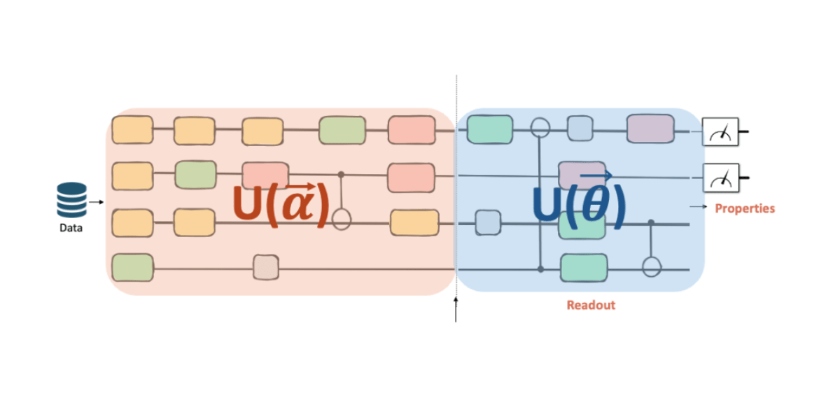 Predicting polymer behaviour with quantum machine learning: Lessons from the PolyT project